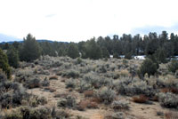Future Telescope Field